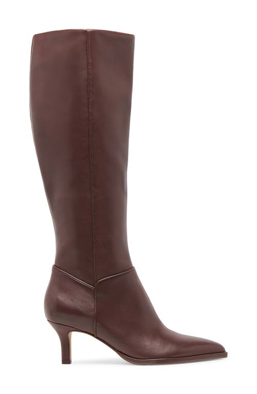 Dolce Vita Aldy Pointed Toe Knee High Boot In Brown