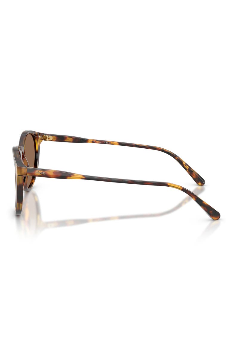 50mm Phantos Sunglasses, Alternate, color, SHINY ANTIQUE HAVANA / BROWN