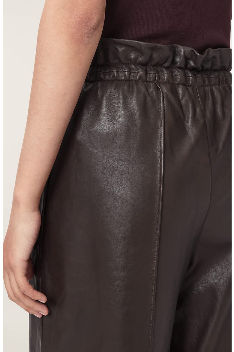 Fran Leather Trousers, Alternate, color, BITTER BROWN