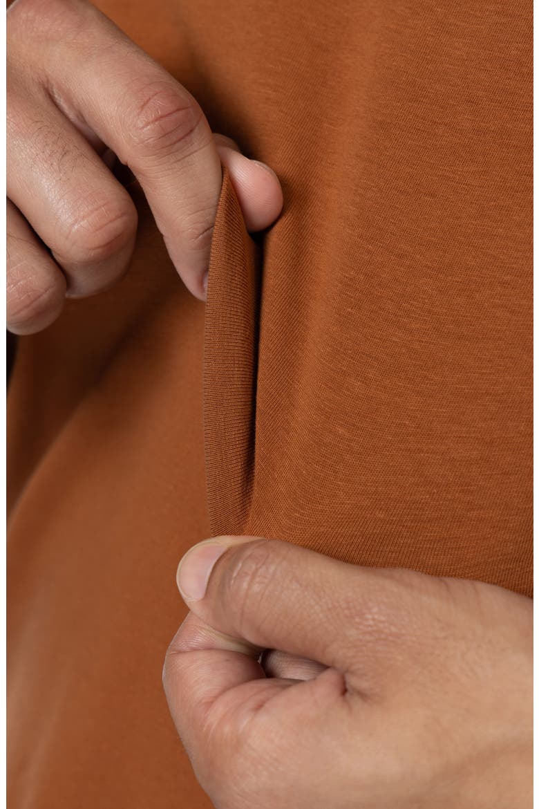 Long Sleeve Henley, Alternate, color, SIENNA
