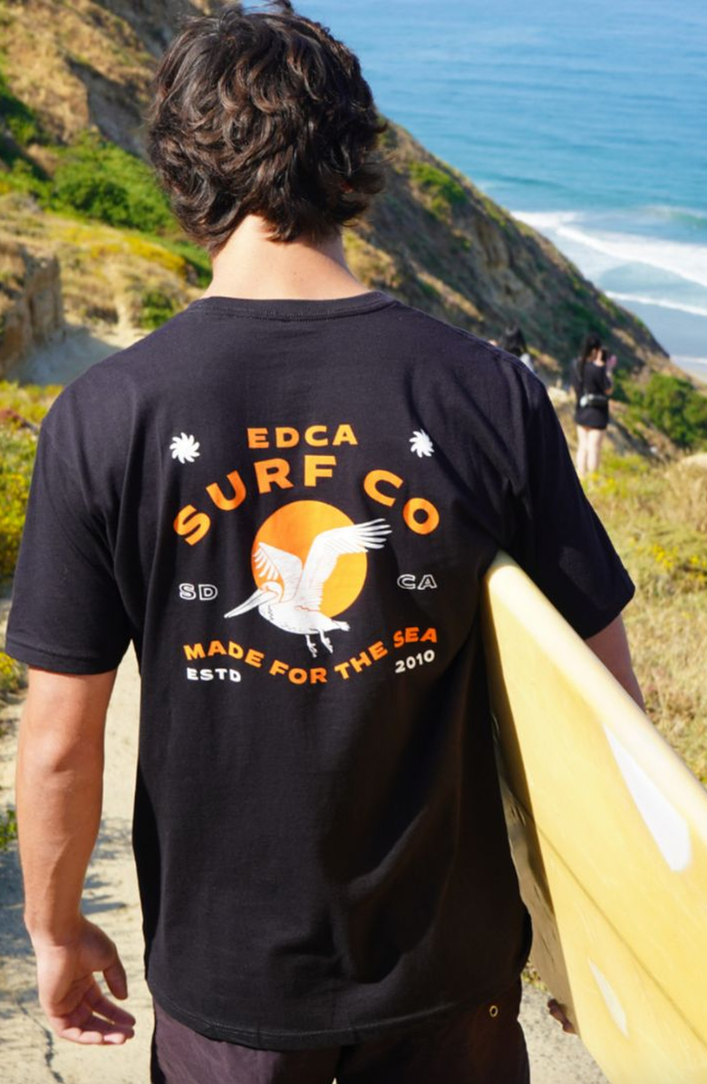 Everyday California Waterbird Tee Shirt, Alternate, color,