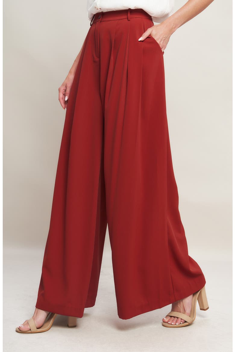 Pleated Front Wide Leg Pants, Alternate, color, RUBY