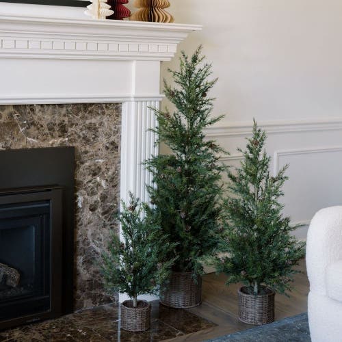 Cg Hunter 2' Pine Tree In Green