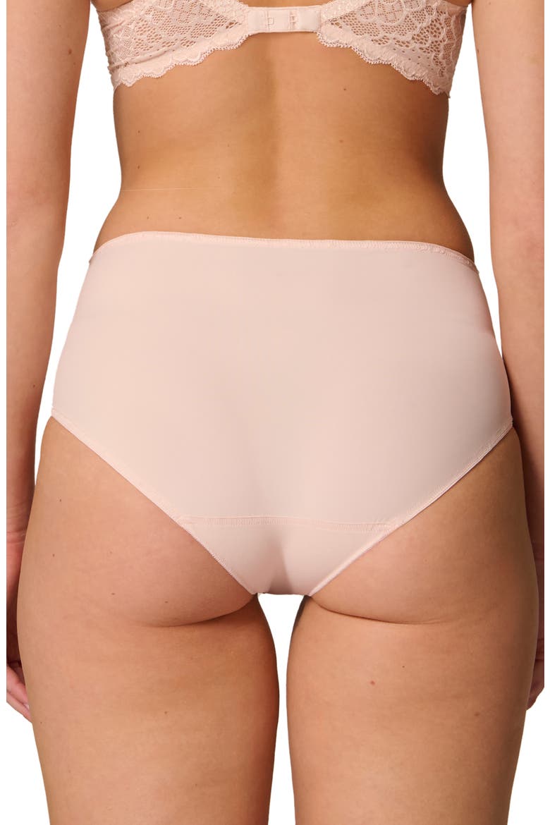 Caresse Retro Briefs, Alternate, color, BLUSH