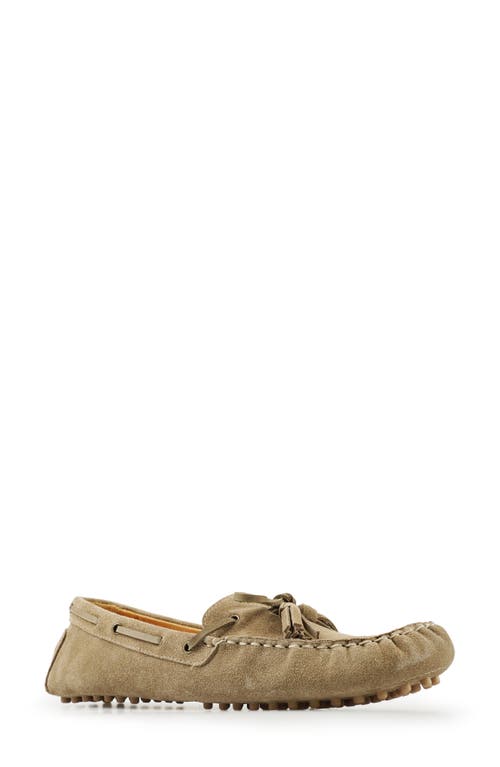 National Comfort Shyanne Suede Loafer In Taupe Suede