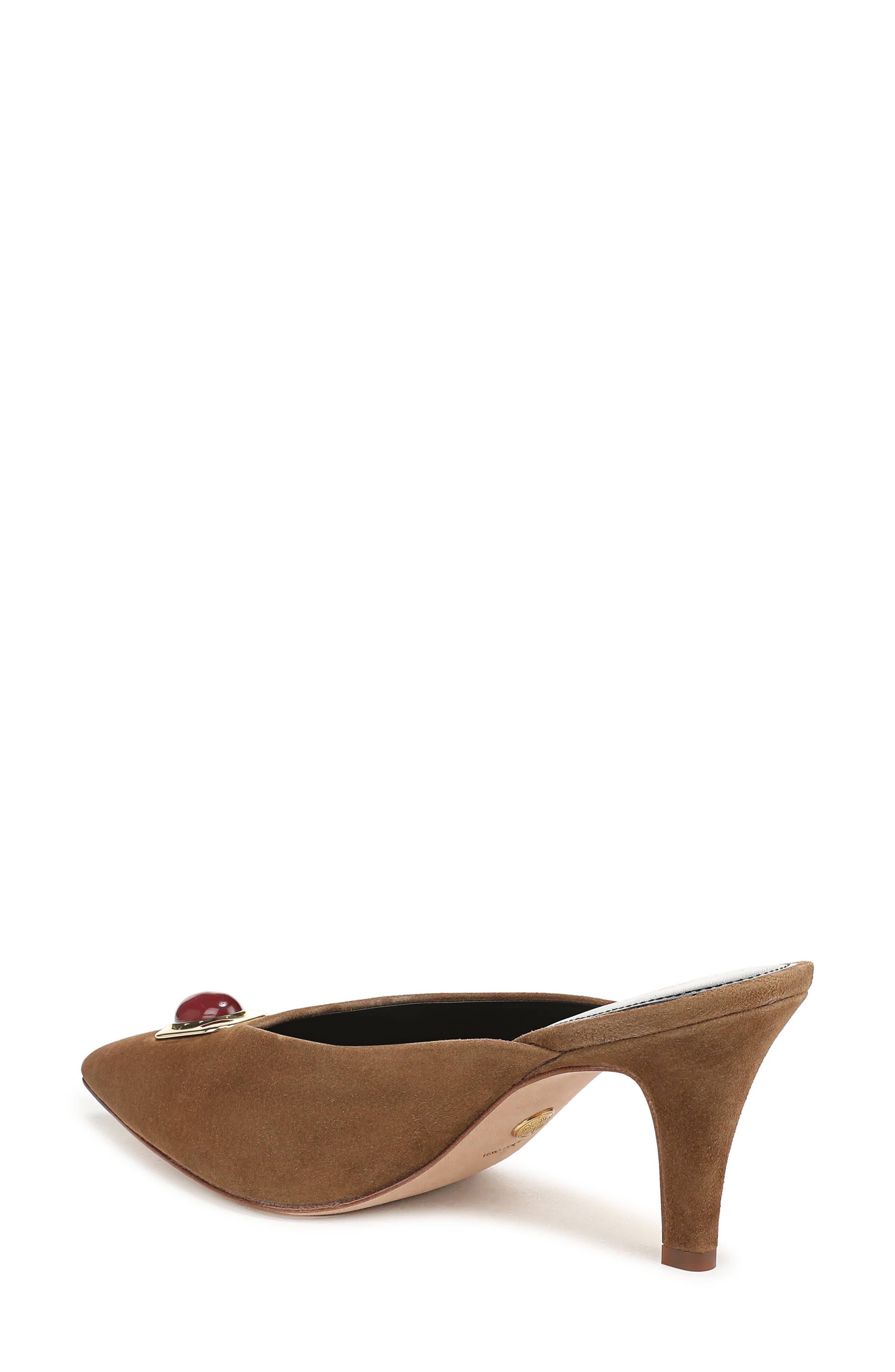 Rochelle Pointed Toe Mule, Alternate, color, CHESTNUT