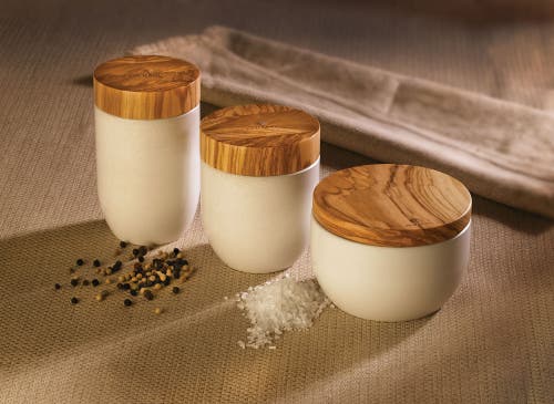 Shop Berard France Olive Wood & Concrete Salt Keeper Box In Brown