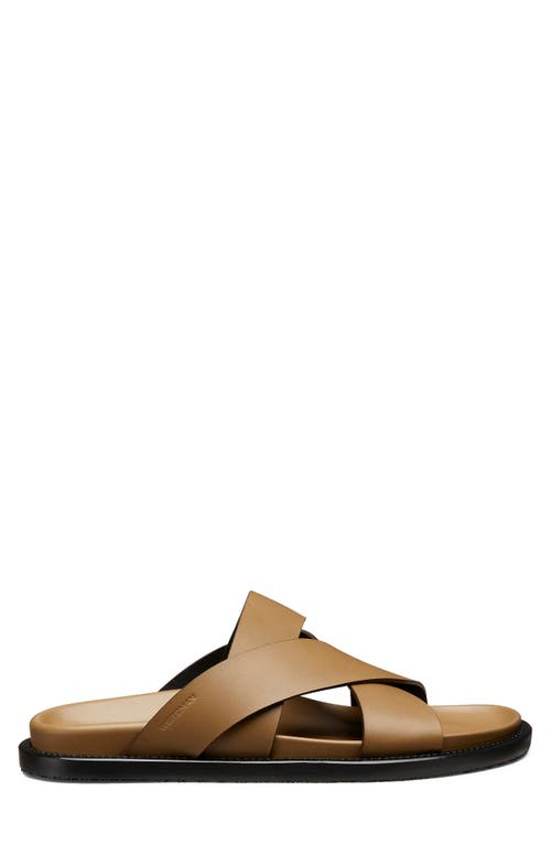 Stuart Weitzman Berkley Slide Sandal In Olive.