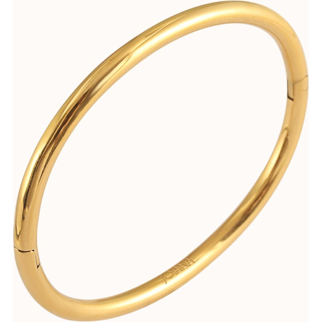 Joiana Jewelry Classic Slim Bangle In Gold