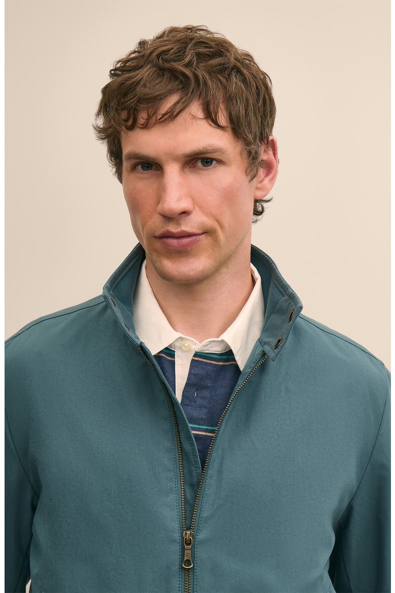 Harrington Jacket, Alternate, color, STARGAZER