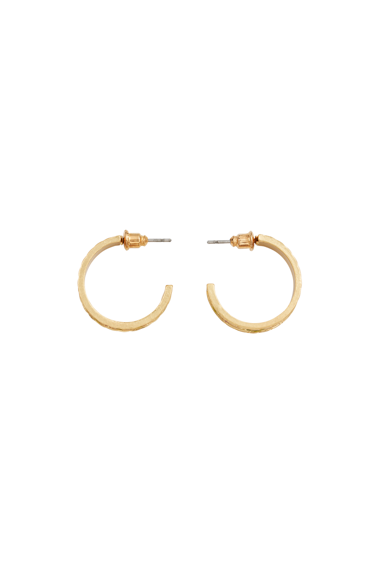 Blackberry Bramble Gold Hoop Earrings, Alternate, color, Gold