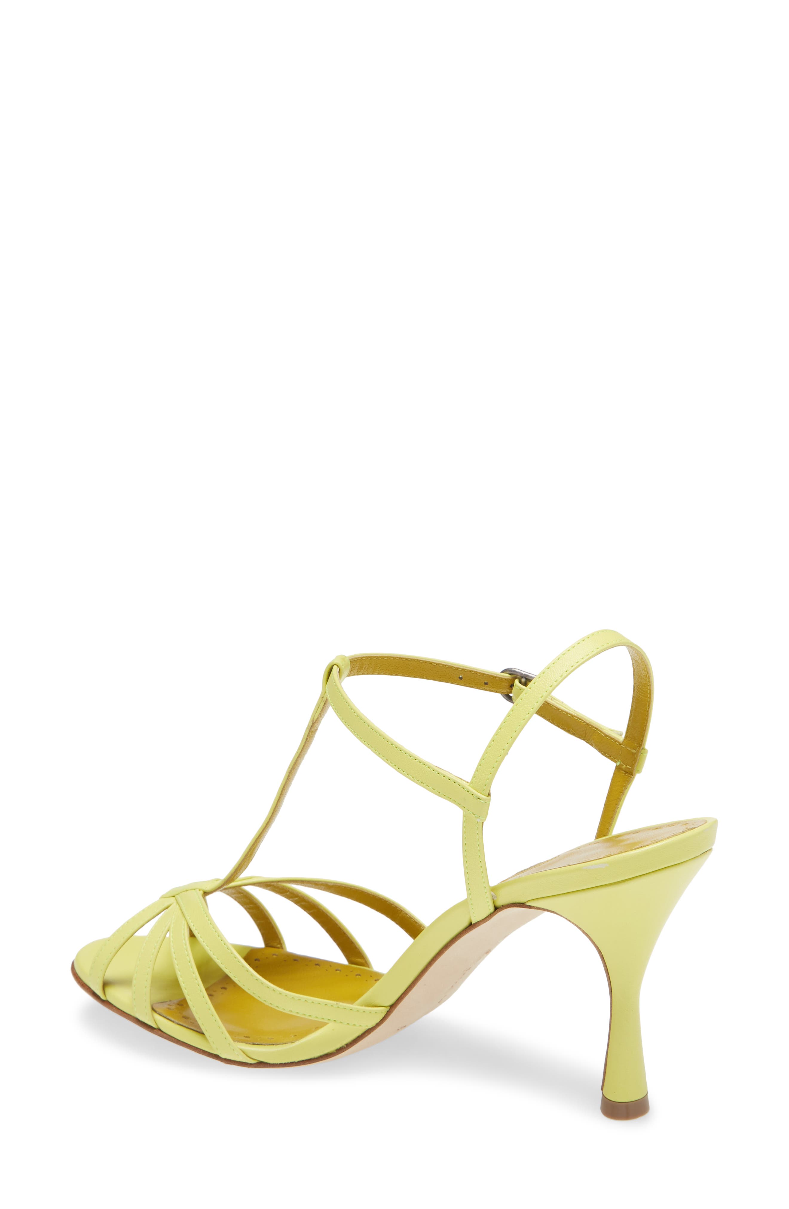 Manolo Blahnik Marana T-Strap Sandal, Alternate, color, 
