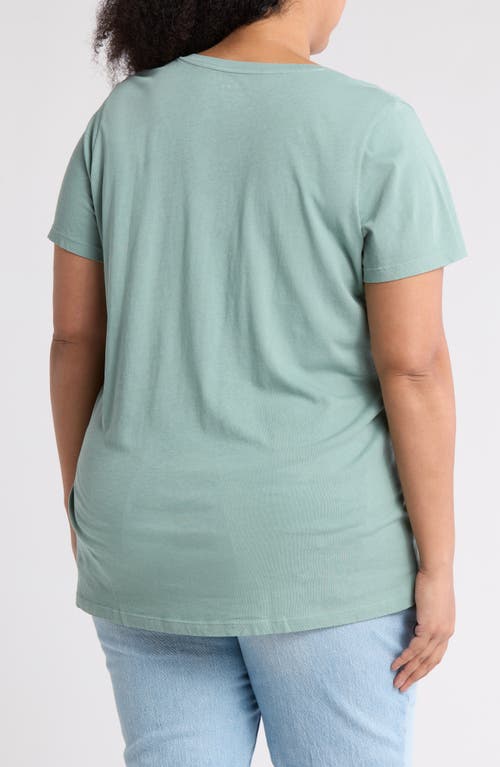 Madewell Soft Fade Cotton T-shirt In Pale Eucalyptus