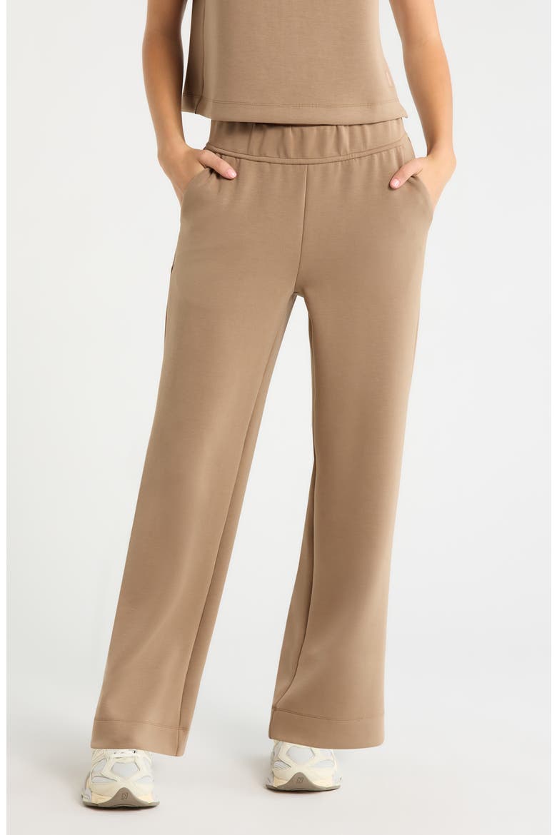 Dreamweave Relaxed Straight Leg Pants, Main, color, CARIBOU