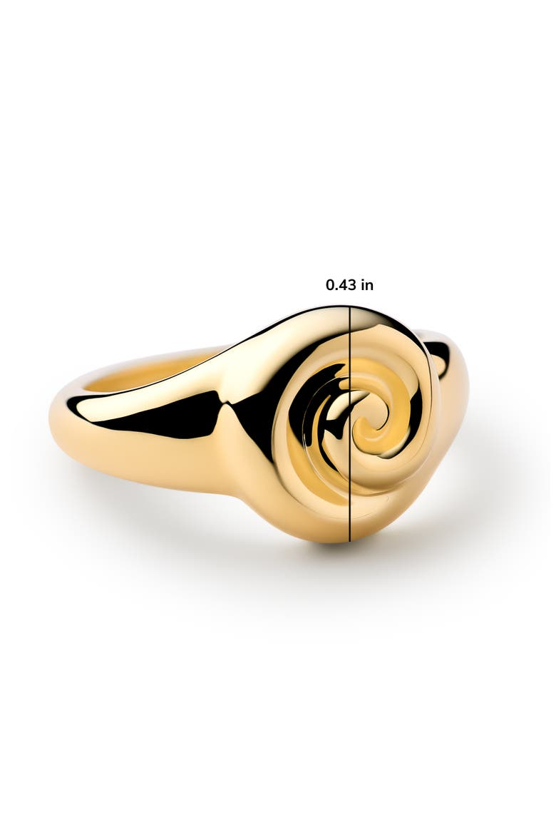 Gold Signet RIng - Ariel Ring, Alternate, color, Gold