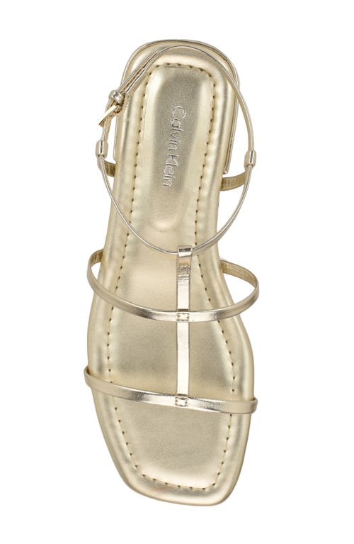 Calvin Klein Sallia T-strap Flat Sandal In Gold