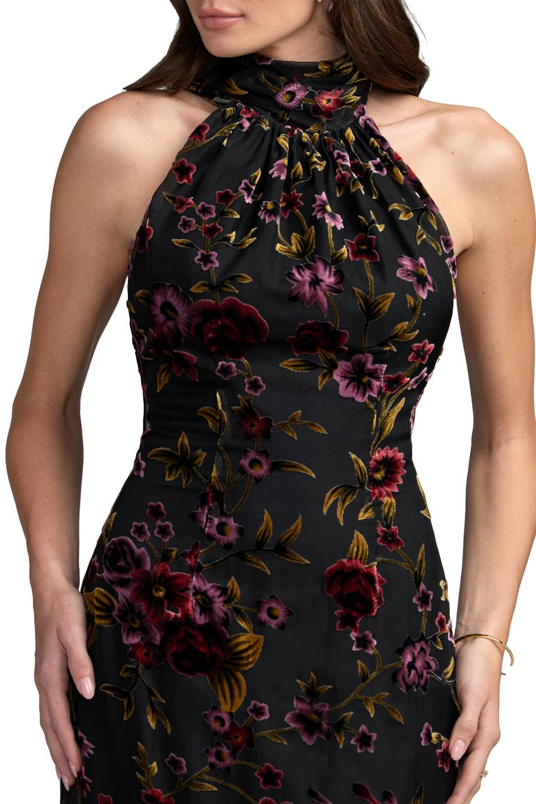 Sleeveless Velvet Halter Neck Gown With Drape, Alternate, color, Black Multi