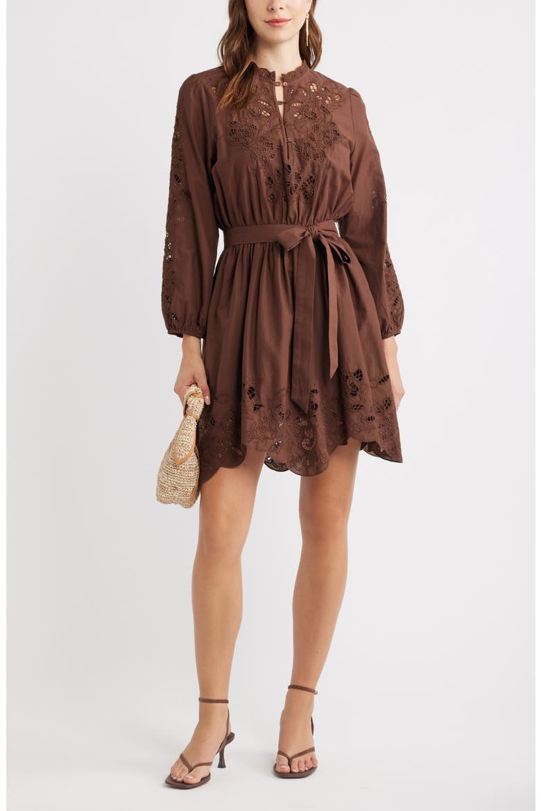Embroidered Long Sleeve Tie Waist Minidress, Alternate, color, BROWN BITTER