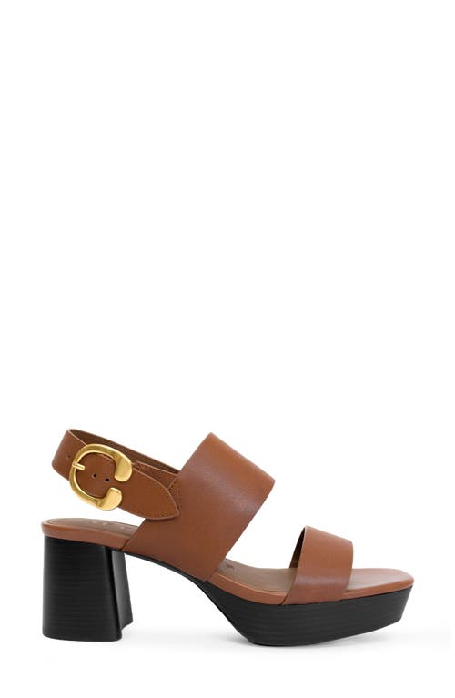 Aerosoles Prym Platform Sandal In Brown