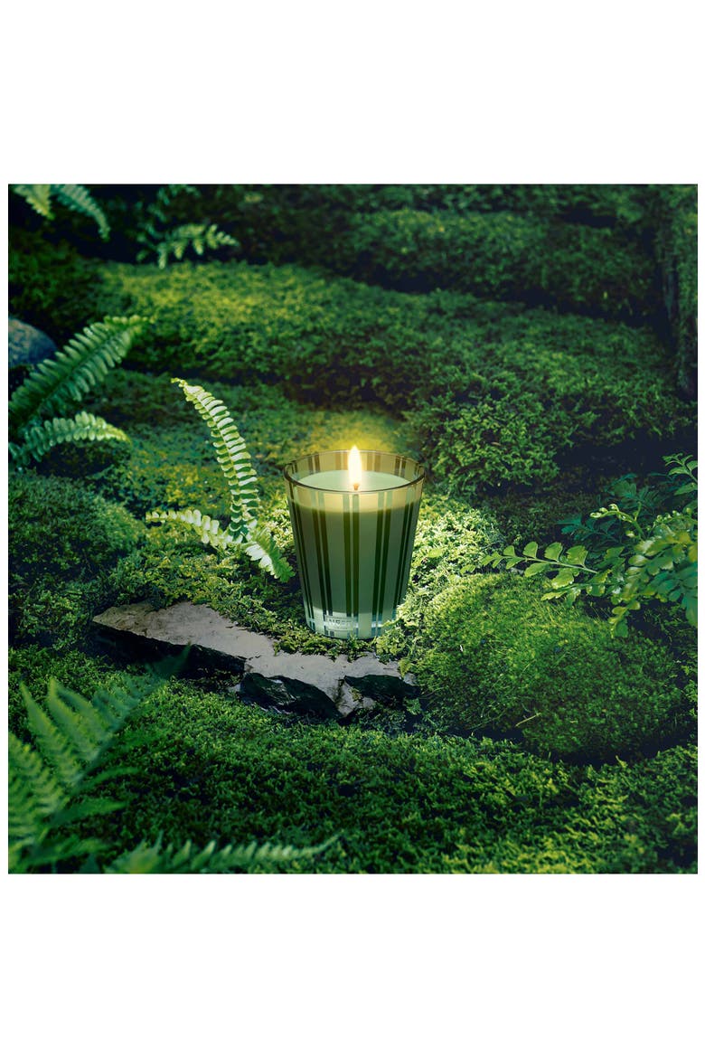 Midnight Moss & Vetiver Candle, Alternate, color, NO COLOR