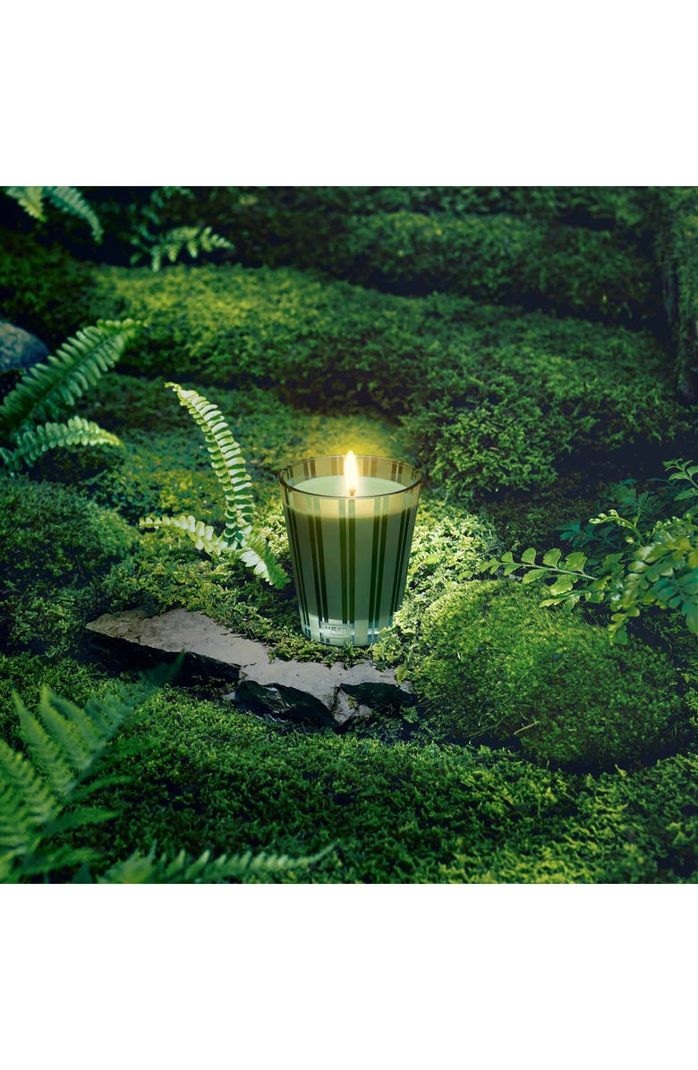 NEST New York Midnight Moss & Vetiver Candle, Alternate, color,