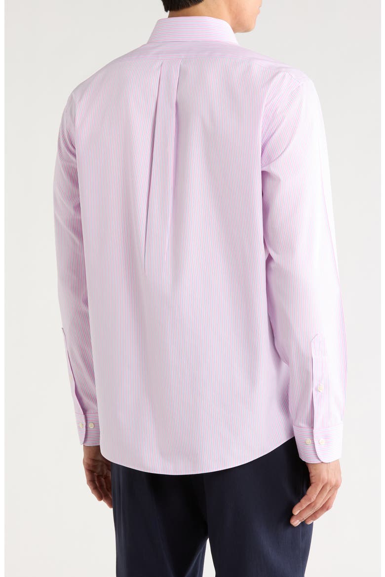 Regular Fit Non-Iron Cotton Dress Shirt, Alternate, color, PINKSTRIPE