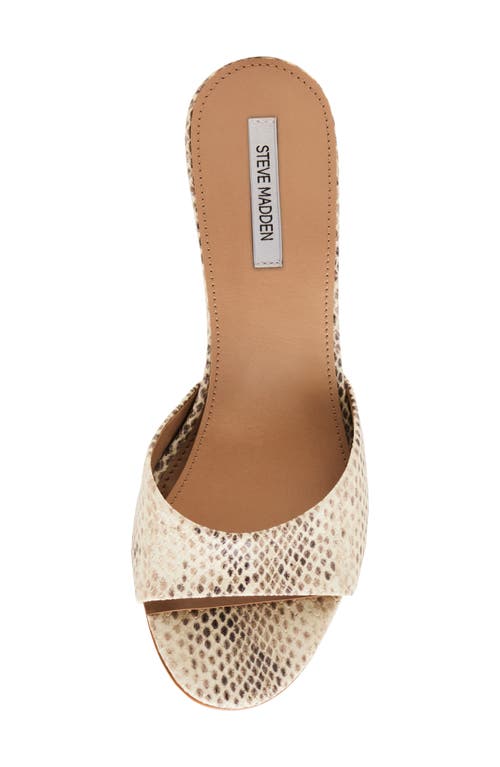 Steve Madden Kendrix Sandal In Neutral