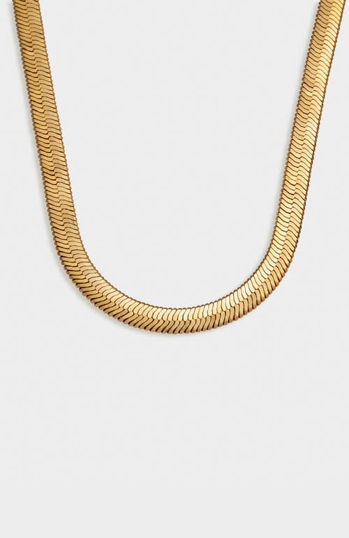 Katie Loxton Ciana Large Snake Chain Necklace in Gold at Nordstrom, Size 16