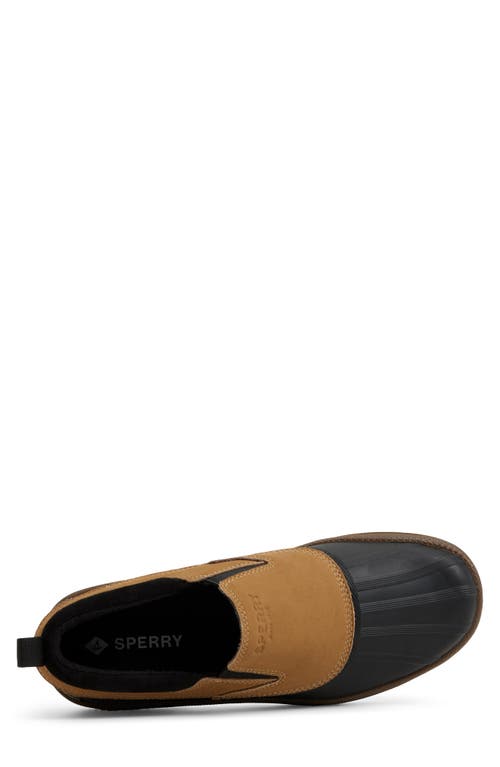 Sperry Coldbay Waterproof Duck Shoe In Animal Print