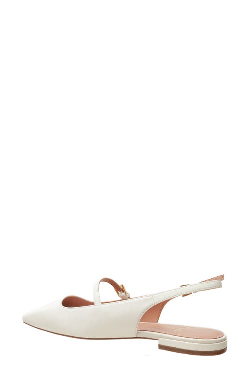 Linea Paolo Celeste Slingback Pointed Toe Flat In White
