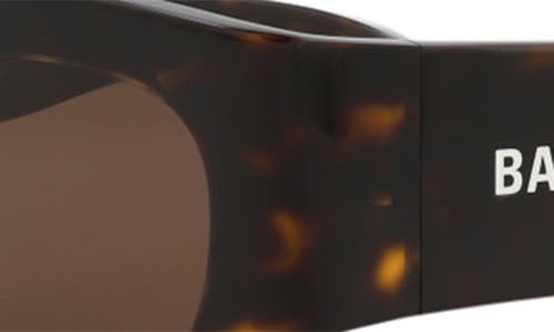 Balenciaga 54mm Cat Eye Sunglasses In Brown