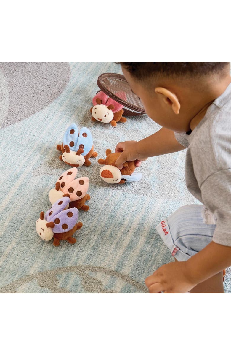 Kaplan Early Learning Company Crinkle and Texture Magnetic Ladybug Set, Alternate, color, Multicolored