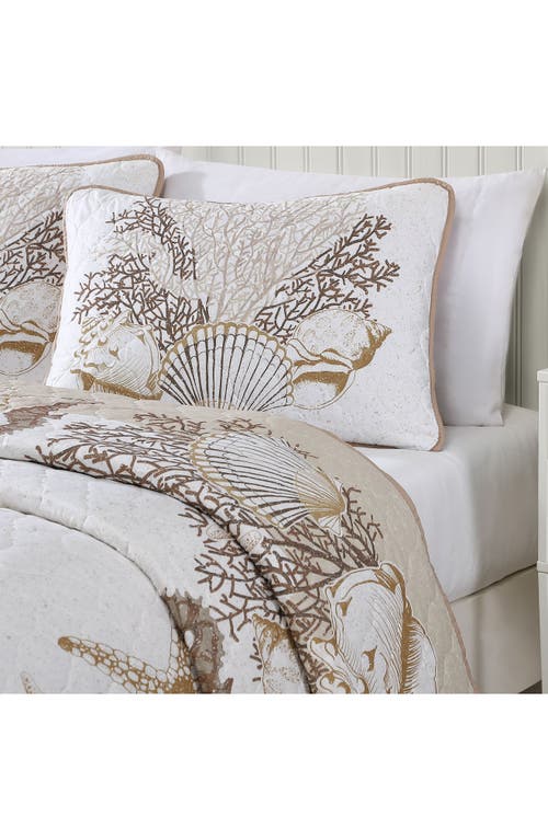 Beatrice Home Fashions Caribbean Joe Comforter & Shams Set