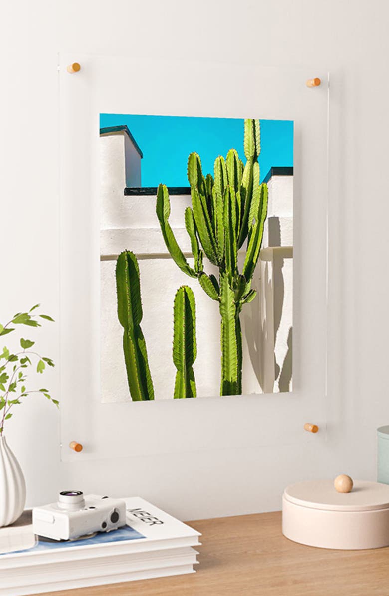 Deny Designs South Pasadena Cactus Floating Art Print, Alternate, color, 