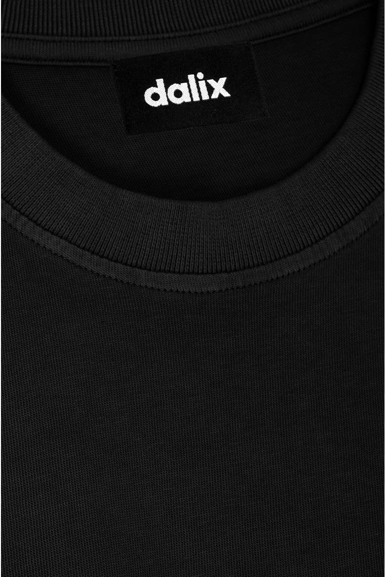 Mens Ghost Heavyweight Pigment Dye Tee, Alternate, color, Black