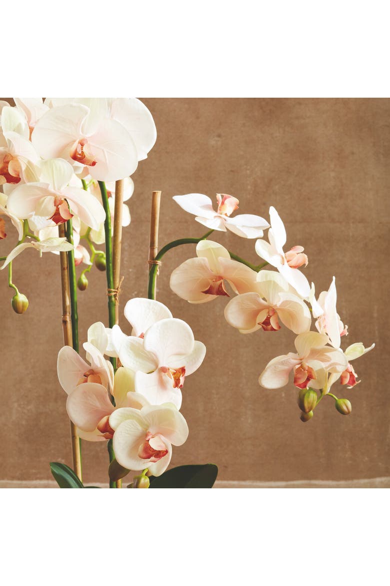 Phalaenopsis Orchid Artificial Plant Drop-In, Alternate, color, Pink