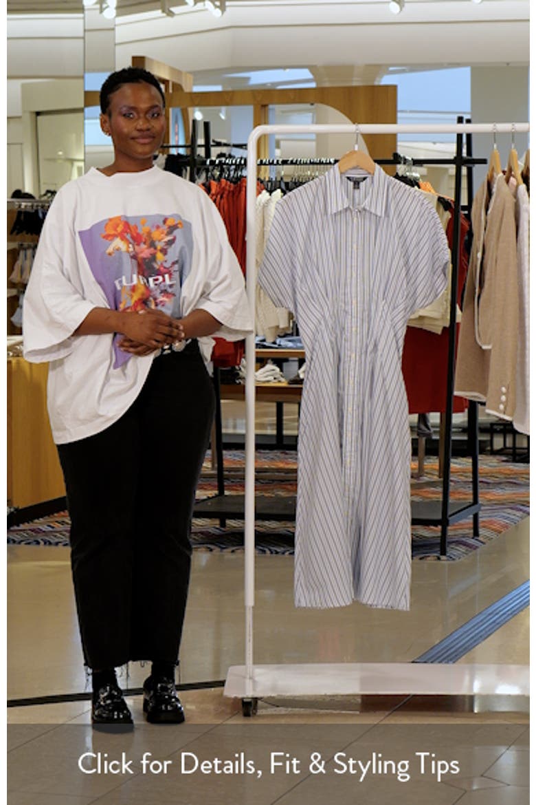 '70s Stripe Cotton Broadcloth Shirtdress video
