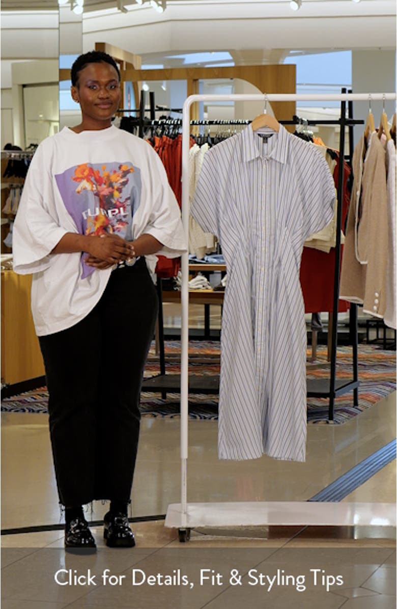 '70s Stripe Cotton Broadcloth Shirtdress, sales video thumbnail