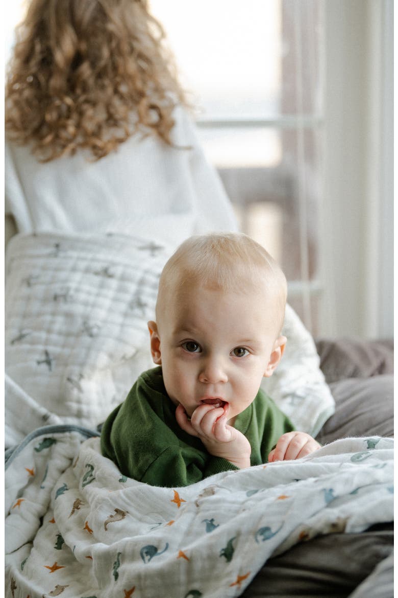 Organic Cotton Muslin Quilted Throw, Alternate, color, LITTLE DINO