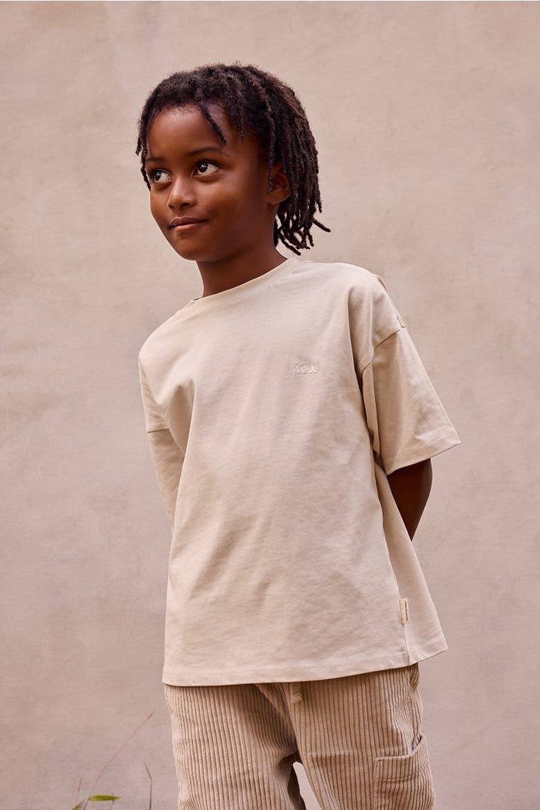 Relaxed Organic Cotton T-Shirt, Alternate, color, Stone
