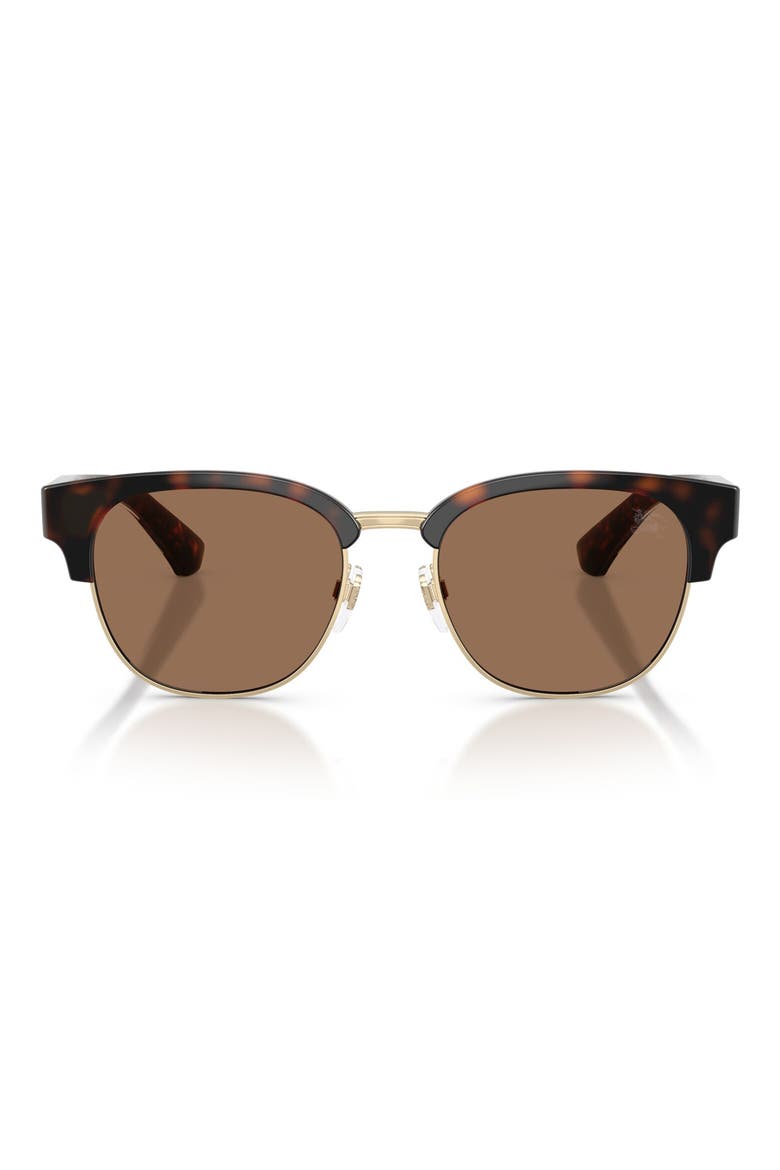 52mm Round Sunglasses, Main, color, DARK HAVANA / DARK BROWN