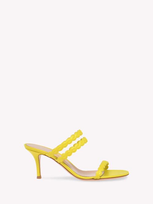 Gianvito Rossi Kai Sandals