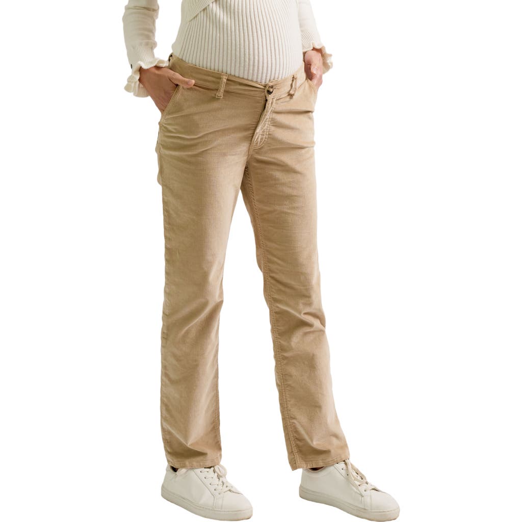 Zzdnu Cache Couer William Maternity Pants In Brown