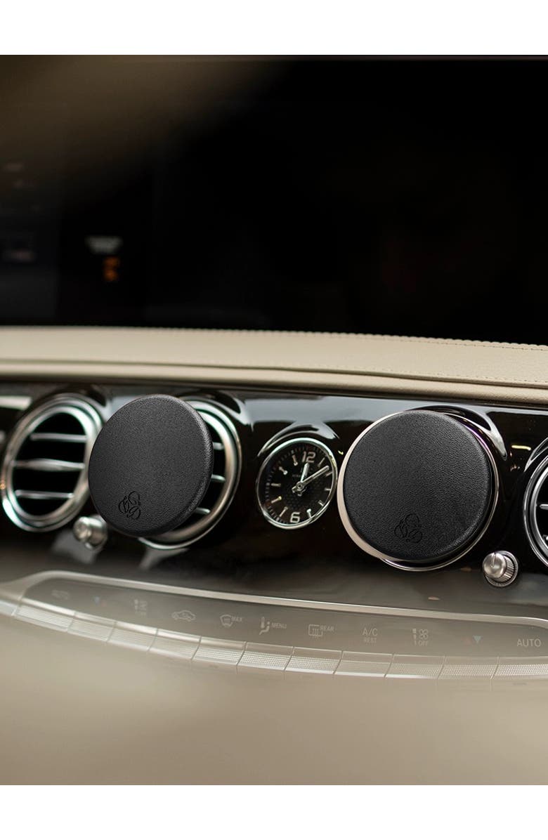 Delfino Oud Black Lambskin Car Diffuser and Insert, Alternate, color, Regular