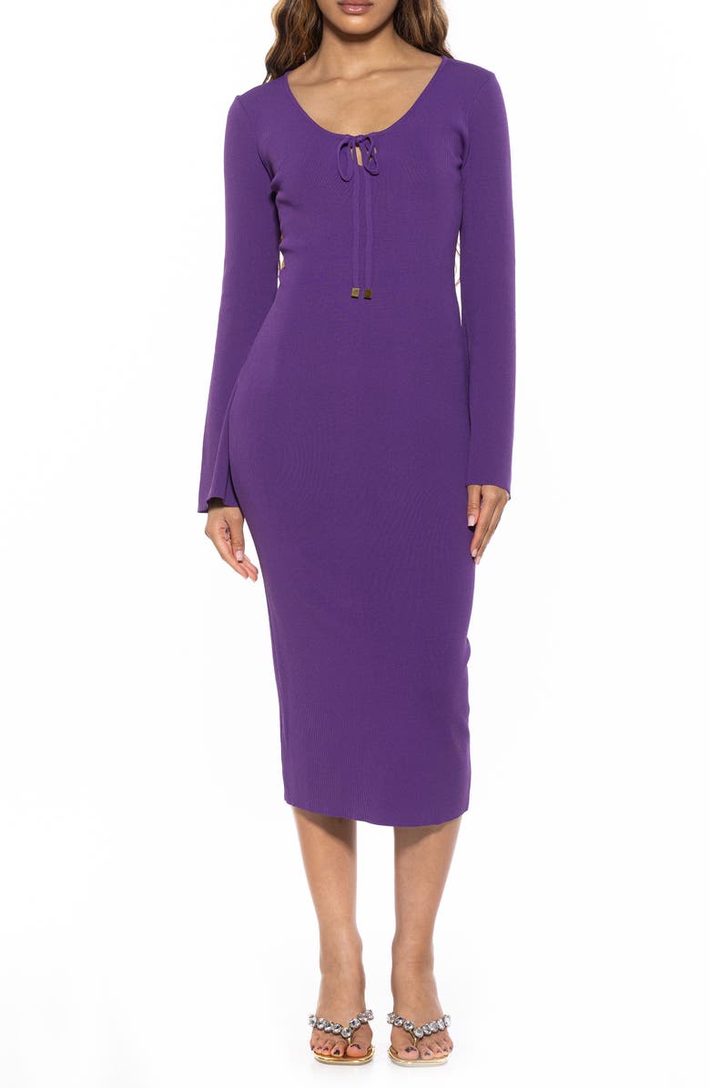 Alexia Admor Akari Tie Front Knit Midi Dress, Main, color, Plum