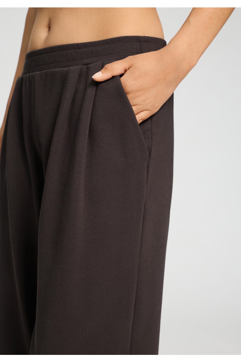 Natural Living Cotton Blend French Terry Pants, Alternate, color, Dark Mocha