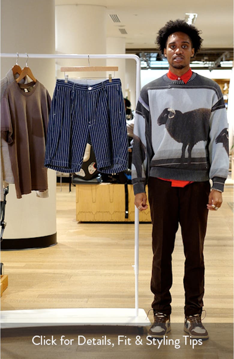 Part Timer Organic Cotton Pinstripe Shorts, sales video thumbnail