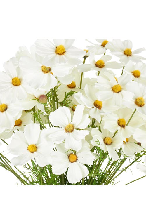 Sonoma Sage Home Set Of 12 Galsang Artificial Flowers In White