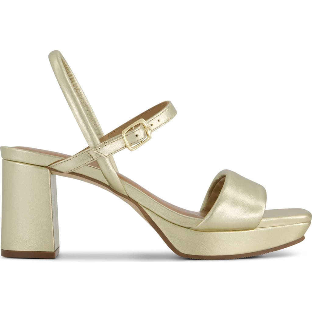 BERNARDO FOOTWEAR BERNARDO FOOTWEAR BERNARDO CANTO PLATFORM SANDAL