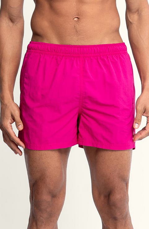 Sebastian Solid 4-Inch Nylon Swim Trunks